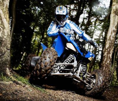 Выбор квадроцикла - picture