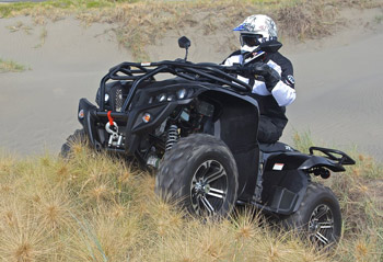 Монстр дорог QuadRaider AX 700 - picture